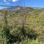 Bed and Breakfast Li A 100 Mt Dal Mare Cilento Coast Scario