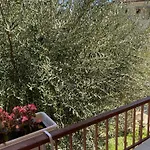 Li A 100 Mt Dal Mare Cilento Coast