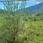 Bed and Breakfast Li A 100 Mt Dal Mare Cilento Coast Scario