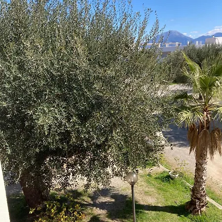 Bed & Breakfast Li A 100 Mt Dal Mare Cilento Coast Scario