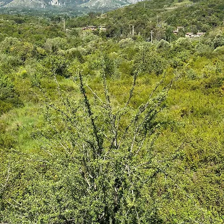 Li A 100 Mt Dal Mare Cilento Coast Scario